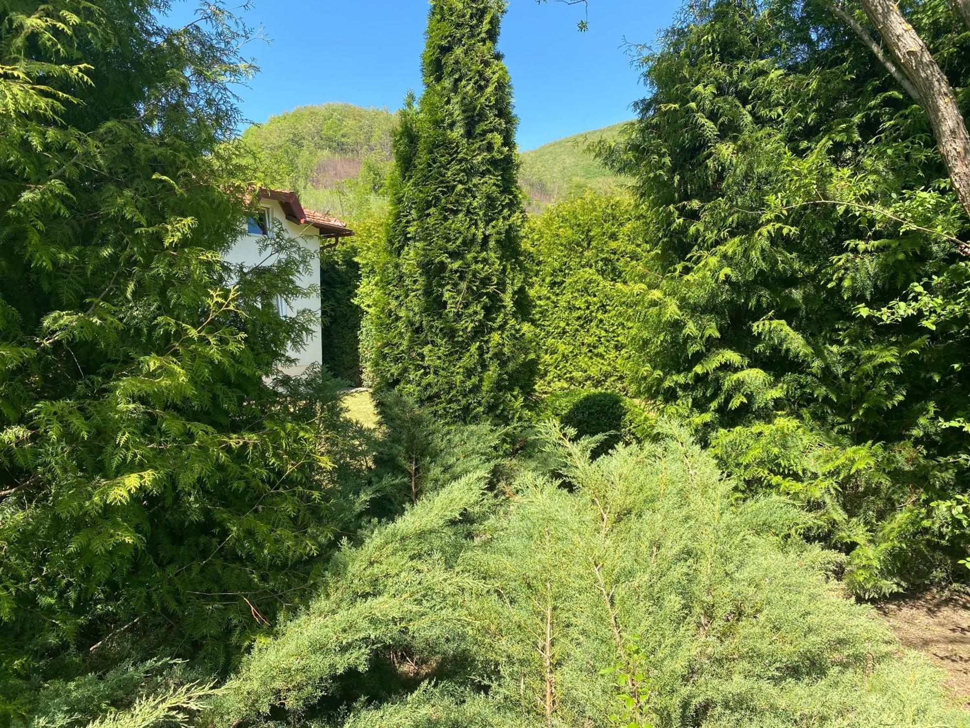 Villa Nana Kulen Vakuf Eksteriør billede